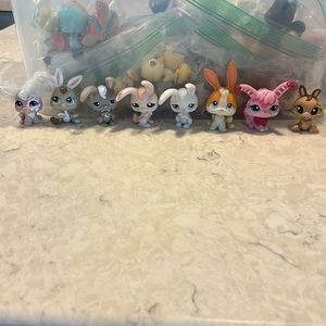 LPS rabbits